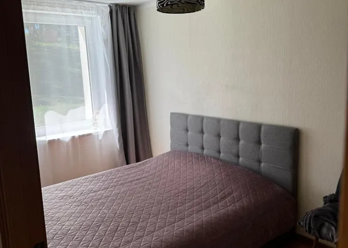 公寓 Mammaste Apartment *